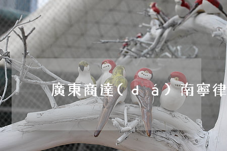 廣東商達(dá)(南寧)律師事務(wù)所