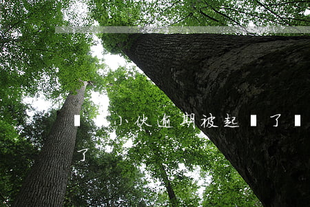 廣東小伙逾期被起訴了(廣東小伙逾期被起訴了)