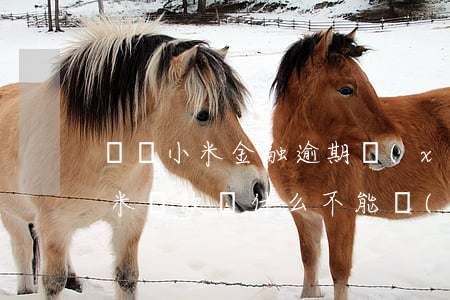 廣東小米金融逾期協(xié)商還款-小米貸款為什么不能協(xié)商還款