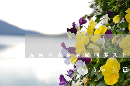 廣東小米金融逾期多久上征信(小米貸款逾期多久上報(bào)征信)