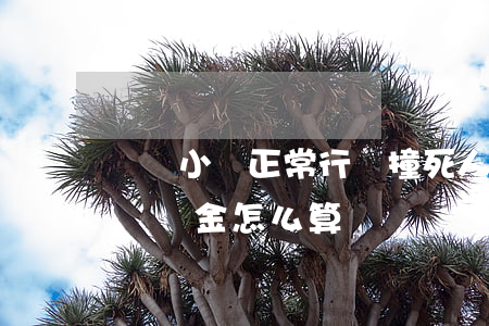 廣東小車正常行駛撞死人賠多少錢(廣州車禍賠償金怎么算)