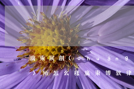 廣東展創(chuàng)律師事務(wù)所怎么樣(廣東博敦律師事務(wù)所怎么樣)