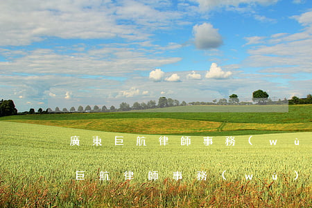 廣東巨航律師事務(wù)所是真的嗎(廣東巨航律師事務(wù)所怎么樣)