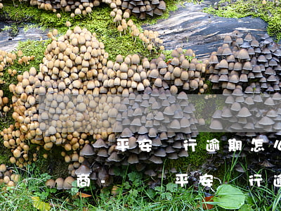 廣東平安銀行逾期怎么跟銀行協(xié)商-廣東平安銀行逾期怎么跟銀行協(xié)商還款