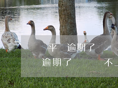 廣東平臺逾期了暫時還不上怎么辦-廣東平臺逾期了暫時還不上怎么辦