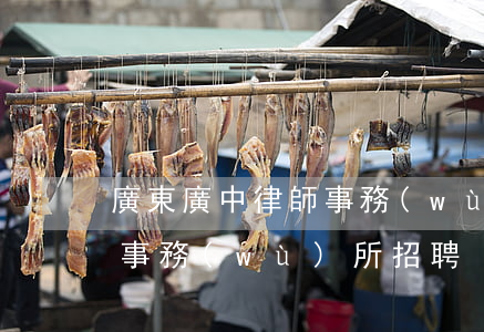 廣東廣中律師事務(wù)所(廣東廣中律師事務(wù)所招聘)
