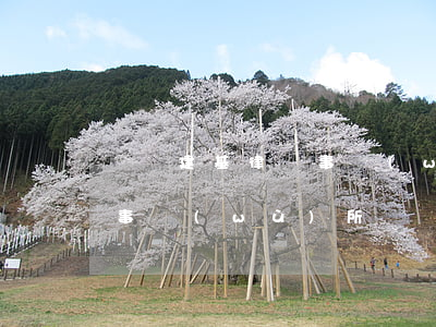 廣東建基律師事務(wù)所(廣東海建律師事務(wù)所)