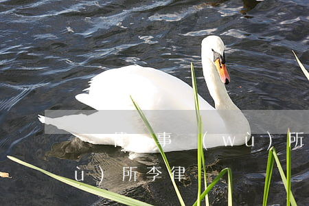 廣東律師事務(wù)所(廣東律師事務(wù)所李律師)