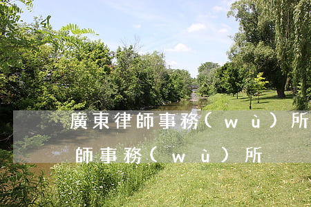 廣東律師事務(wù)所李律師(廣東法方律師事務(wù)所)