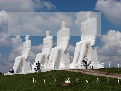廣東律師查詢系統(tǒng)(廣東執(zhí)業(yè)律師資格查詢)