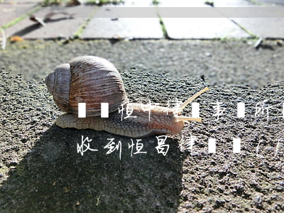 廣東恒中律師事務所給發(fā)逾期短信(收到恒昌律師發(fā)來的短信)