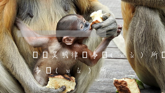 廣東昊明律師事務(wù)所(廣東昊明律師事務(wù)所)