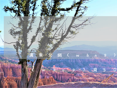 廣東欠網(wǎng)貸500萬(廣東欠網(wǎng)貸500萬)