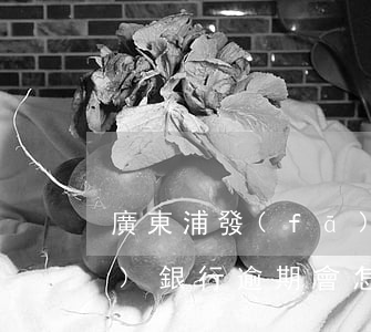廣東浦發(fā)銀行逾期(廣東浦發(fā)銀行逾期會怎么樣)