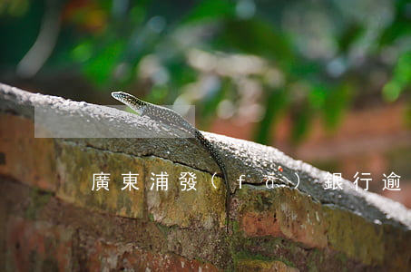 廣東浦發(fā)銀行逾期正確處理方案-