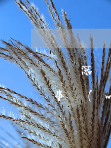 廣東深達律師事務(wù)所(深圳鴻達律師事務(wù)所)