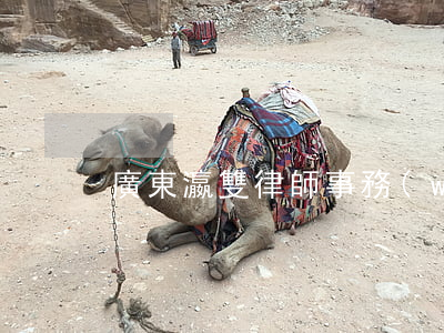 廣東瀛雙律師事務(wù)所怎樣