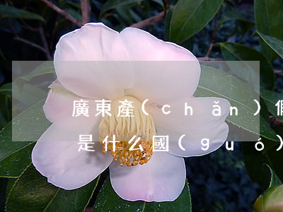 廣東產(chǎn)假最新規(guī)定是什么（國(guó)家規(guī)定的工資發(fā)放標(biāo)準(zhǔn)是什么）