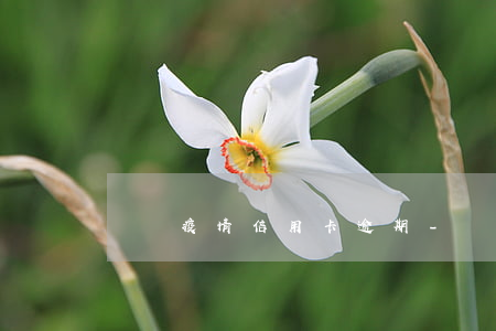 廣東疫情信用卡逾期-廣東疫情限行通知