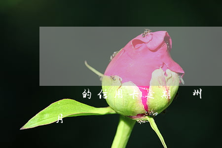 廣東的信用卡逾期(廣州銀行信用卡逾期三個月)