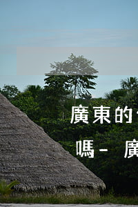 廣東的信用卡逾期能在廣西協(xié)商嗎-廣西農(nóng)村信用社信用卡逾期