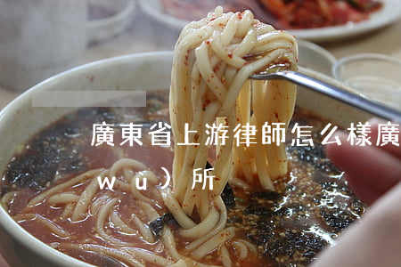 廣東省上游律師怎么樣(廣東人為律師事務(wù)所)
