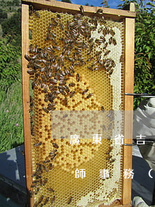 廣東省吉勁律師事務(wù)所(廣東吉徑律師事務(wù)所律師函)