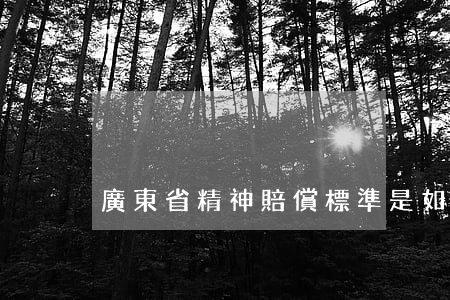 廣東省精神賠償標準是如何的