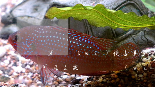 廣東省職務(wù)侵占多少錢(qián)可以立案(廣東職務(wù)侵占的量刑標(biāo)準(zhǔn)2020)