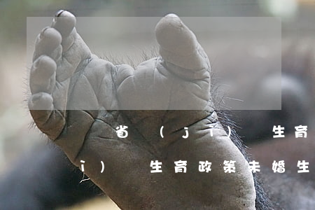 廣東省計(jì)劃生育政策(廣東省計(jì)劃生育政策未婚生子)