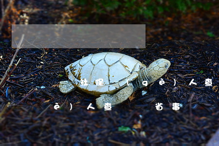 廣東社保個(gè)人查詢(廣東社保個(gè)人查詢粵省事)