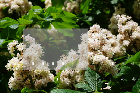 廣東興業(yè)銀行信用卡逾期債務(wù)優(yōu)化(有沒有興業(yè)銀行信用卡逾期半年以上的)