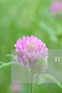 廣東農(nóng)信信用卡怎么透支(廣東農(nóng)信銀行信用卡)