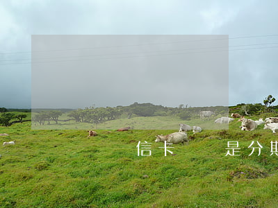 廣東農信卡貸寶是分期還款的嗎-