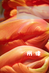 廣東騎士律師事務(wù)所是真的嗎(找廣州律師)
