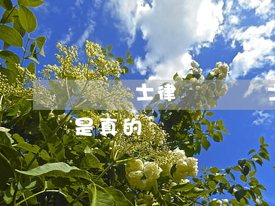 廣東騎士律師(廣東騎士律師事務(wù)所是真的嗎)