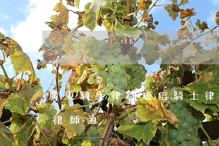 廣東騎士律師短信(騎士律師事務(wù)所律師函)