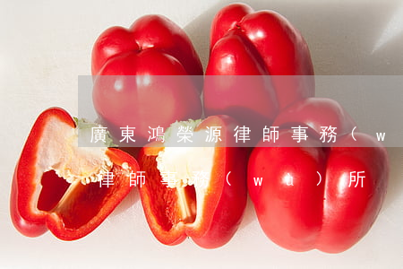廣東鴻榮源律師事務(wù)所(廣東鴻榮源律師事務(wù)所)