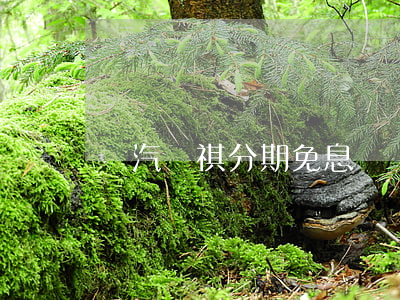 廣汽傳祺分期免息嗎(廣汽傳祺幾年免息)