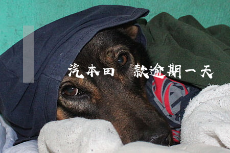 廣汽本田貸款逾期一天(車貸逾期一次)