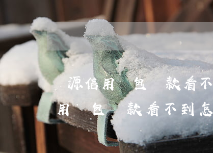 廣源信用錢包還款看不到怎么回事-廣源信用錢包還款看不到怎么回事呢