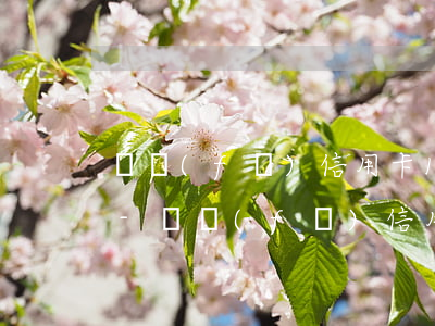 廣發(fā)信用卡10000逾期5個月-廣發(fā)信用卡5萬逾期一個月
