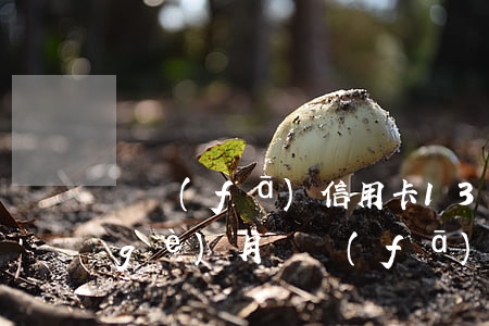 廣發(fā)信用卡13000逾期4個(gè)月(廣發(fā)信用卡5萬(wàn)逾期三個(gè)月)