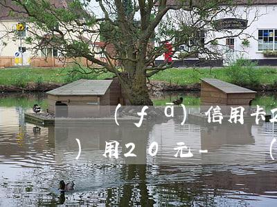 廣發(fā)信用卡21元逾期費(fèi)用20元-廣發(fā)信用卡21元逾期費(fèi)用20元是真的嗎