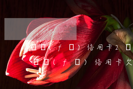 廣發(fā)信用卡2萬最低還款利息多少（廣發(fā)信用卡欠2萬4）