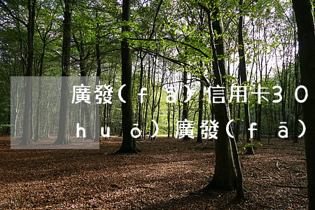 廣發(fā)信用卡3000不還(都說(shuō)廣發(fā)信用卡怎么還不完)