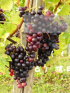 廣發(fā)信用卡3萬逾期4年(廣發(fā)信用卡3000逾期3個(gè)月了 銀行說要起訴)