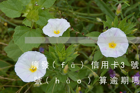 廣發(fā)信用卡3號(hào)還款4號(hào)算逾期嗎-廣發(fā)信用卡3號(hào)還款4號(hào)算逾期嗎怎么辦