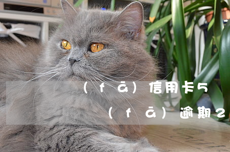 廣發(fā)信用卡5萬逾期1個月就起訴嗎（廣發(fā)逾期20000會起訴嗎）