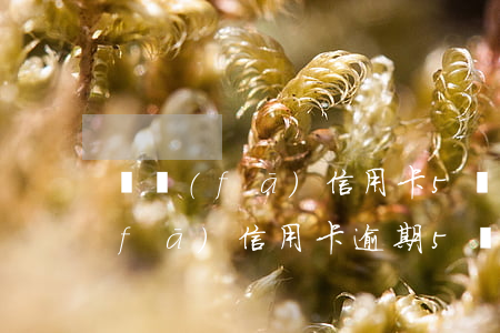 廣發(fā)信用卡5萬逾期一個月（廣發(fā)信用卡逾期5個月了還能用嗎）